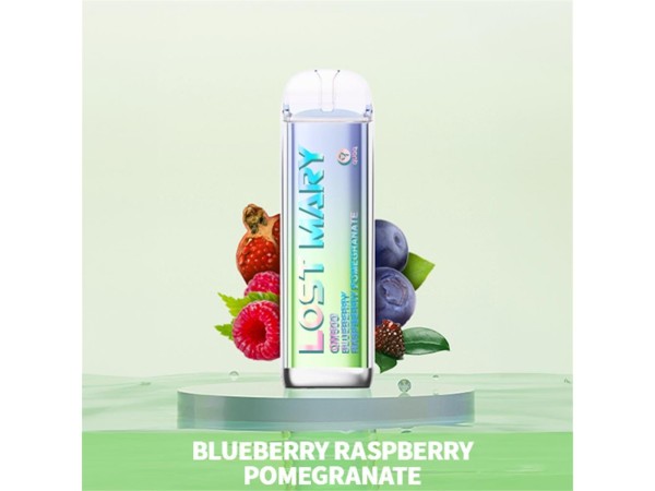 Elfbar - Lost Mary - E-Shisha QM600- 600 Züge - Blueberry Raspberry Pomegranate